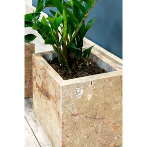 Травертин Red Travertine CC